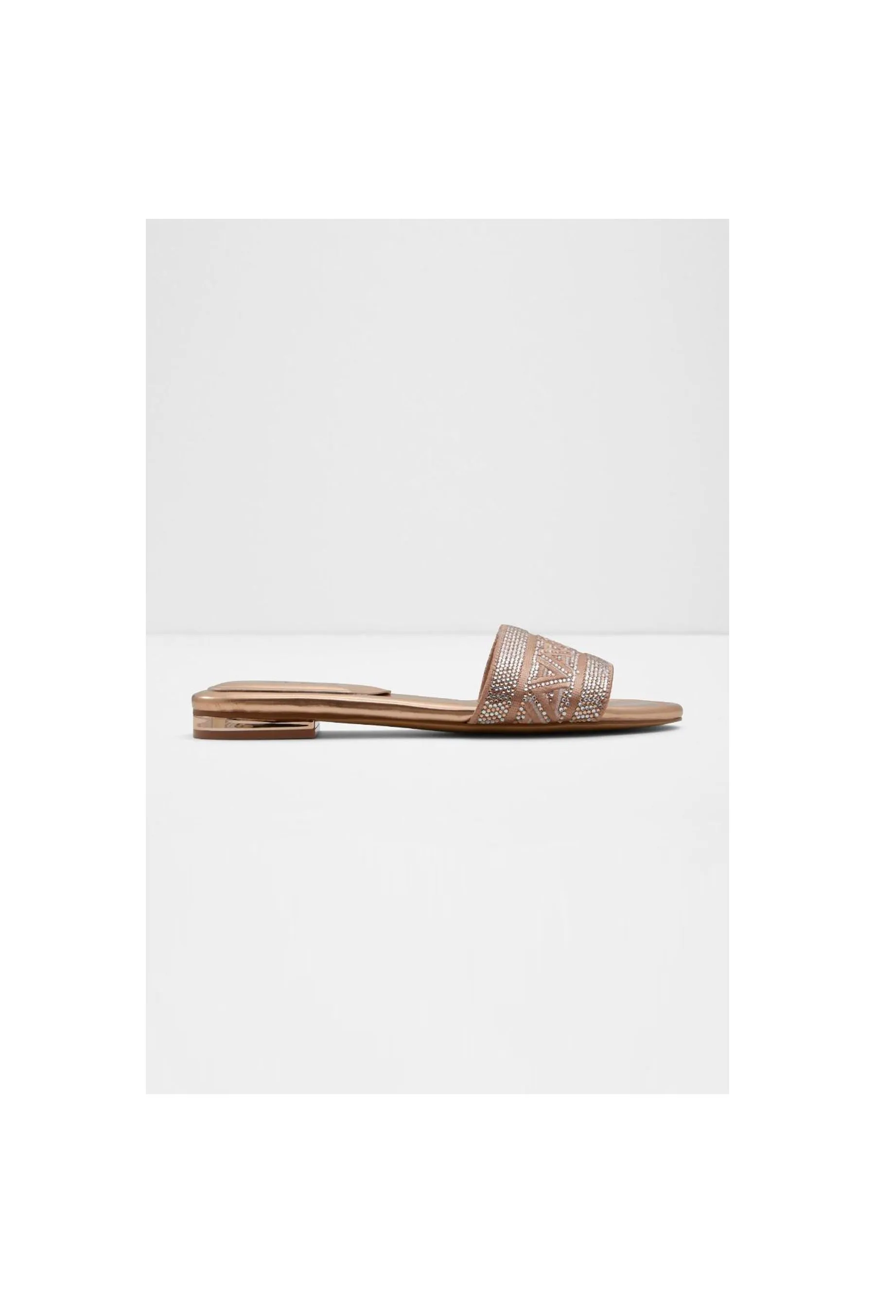 ALDO Ghalia | Flats Beige | Women