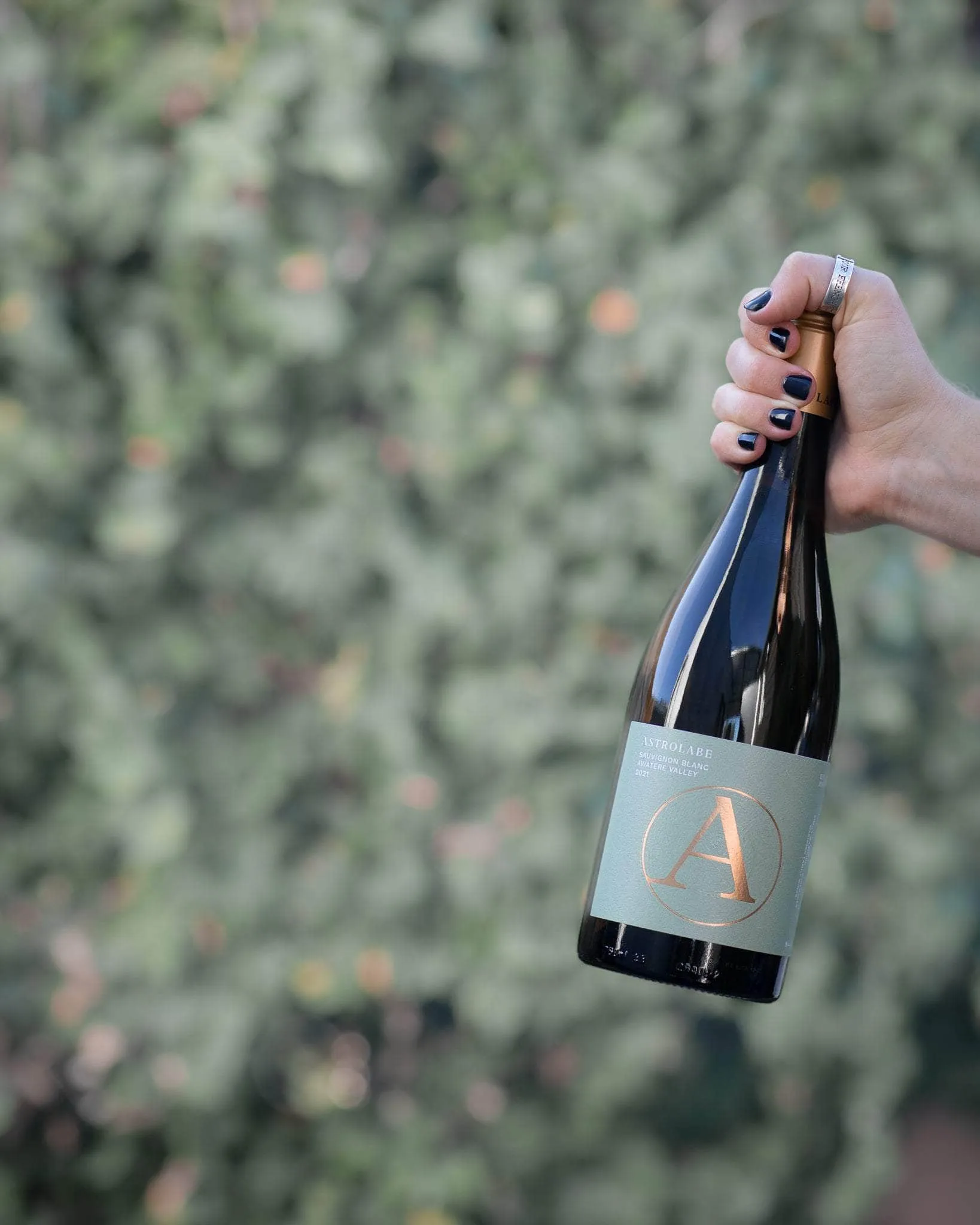 Astrolabe Sauvignon Blanc