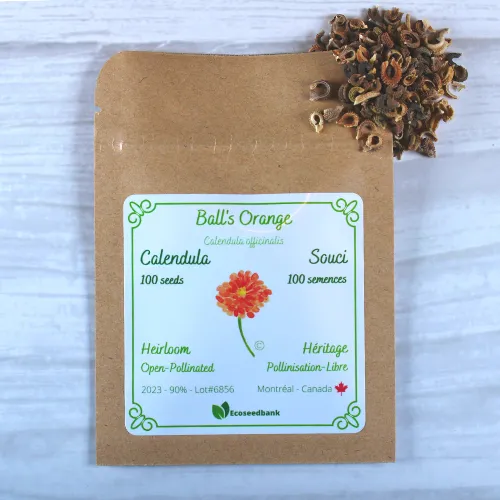 Ball's Orange Calendula Seeds