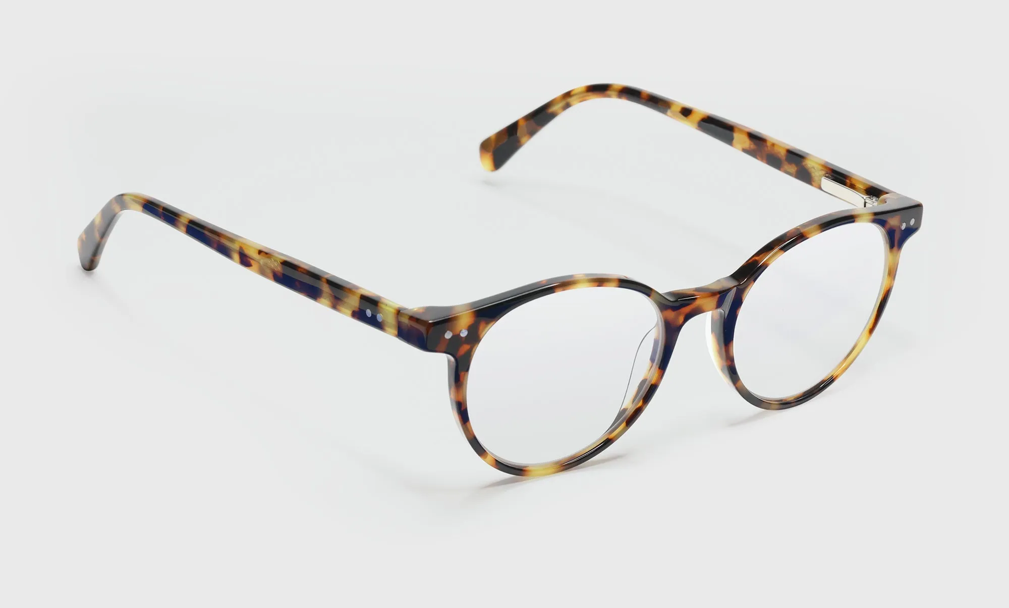 Case Closed Wide Color 19 - Tortoise Front and Temples