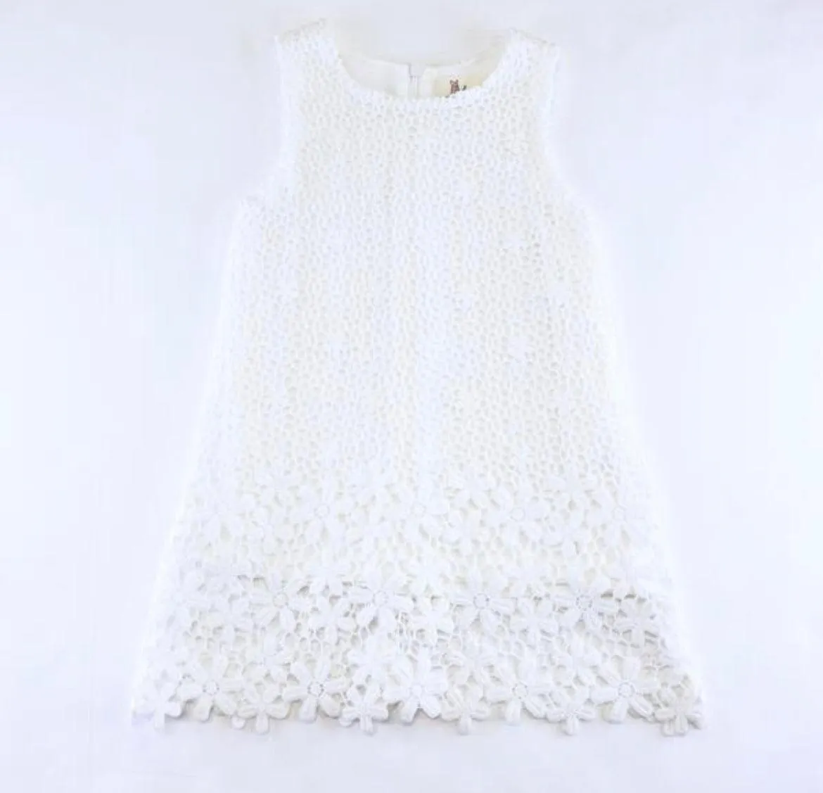 Daisy Lace A-Line Dress