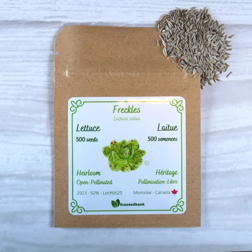 Freckles Lettuce Seeds
