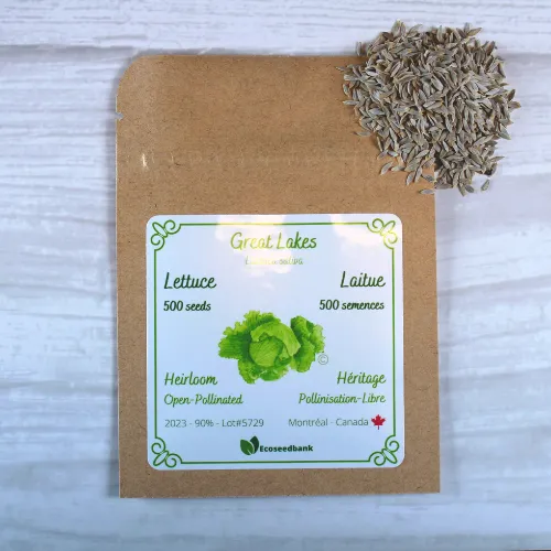 Great Lakes Lettuce Seeds