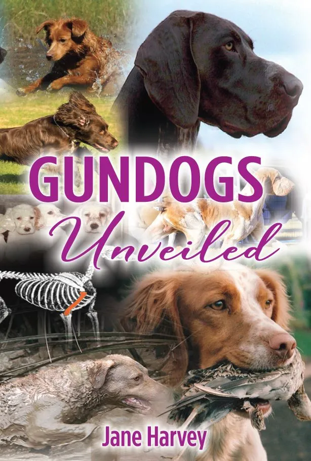 Gundogs Unveiled