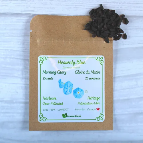 Heavenly Blue Morning Glory Seeds