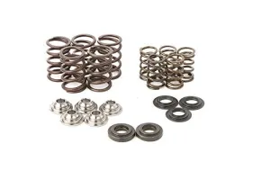 Hot Cams SKYFM660S2 Gold Series High Performance Valve Spring Kit, Regular