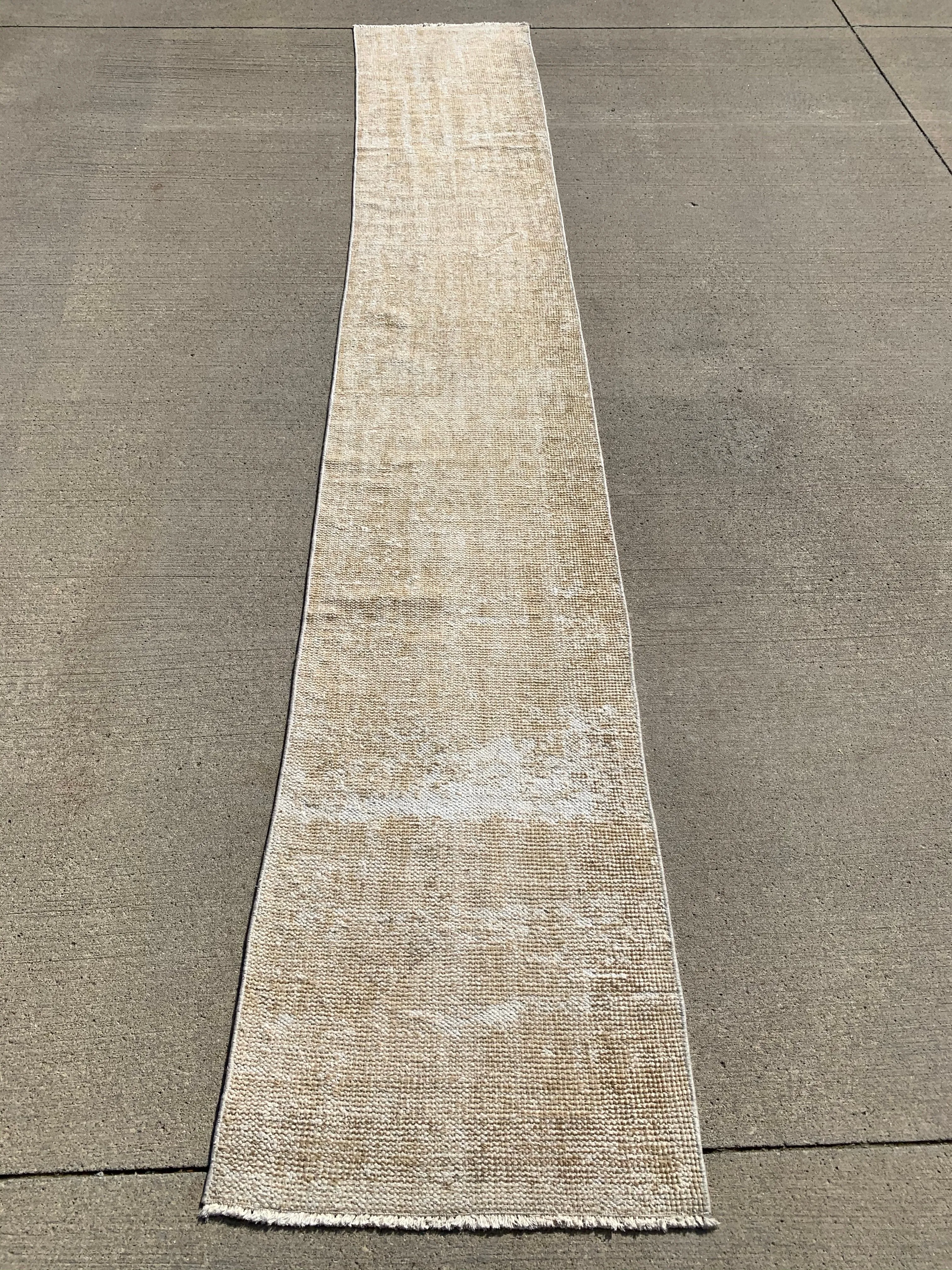 Jane 2' x 12'4