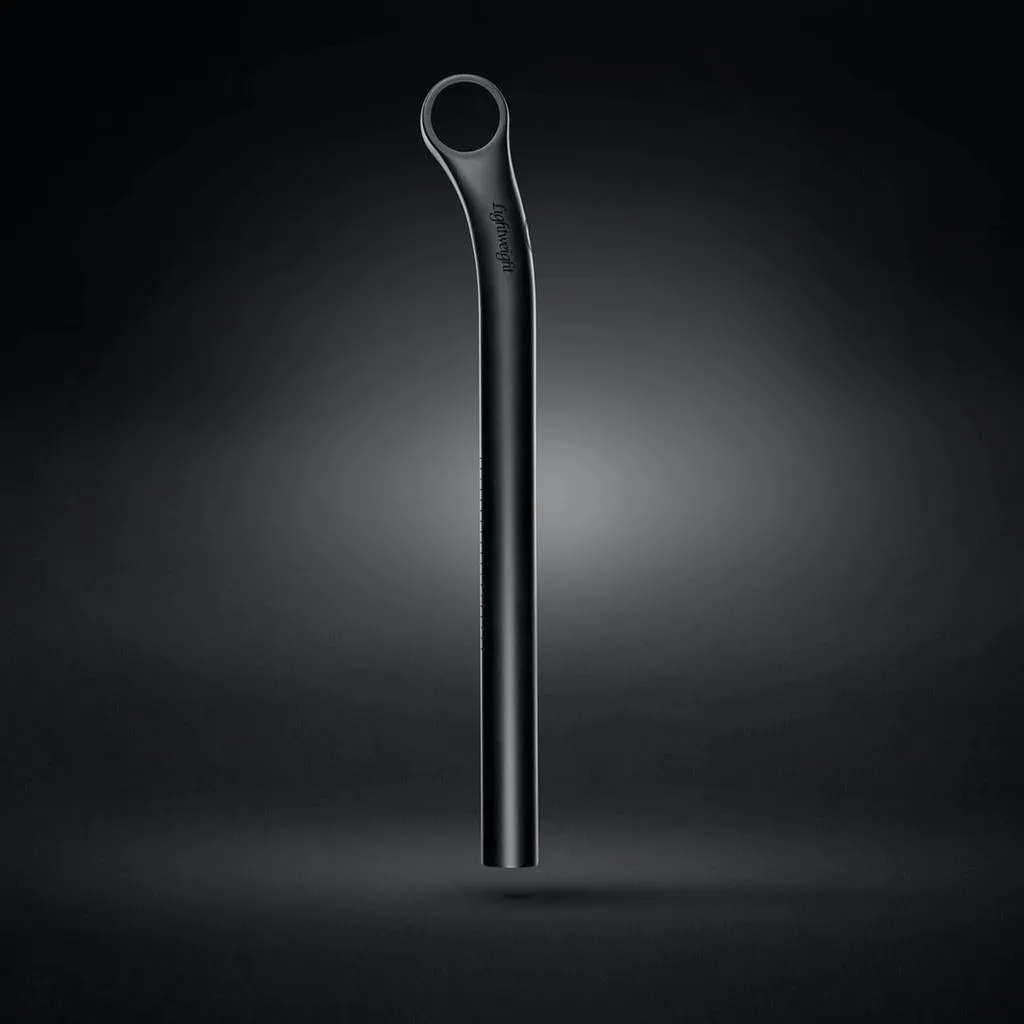 Lightweight LEISTUNGSTRÄGER Seatpost - 27.2mm