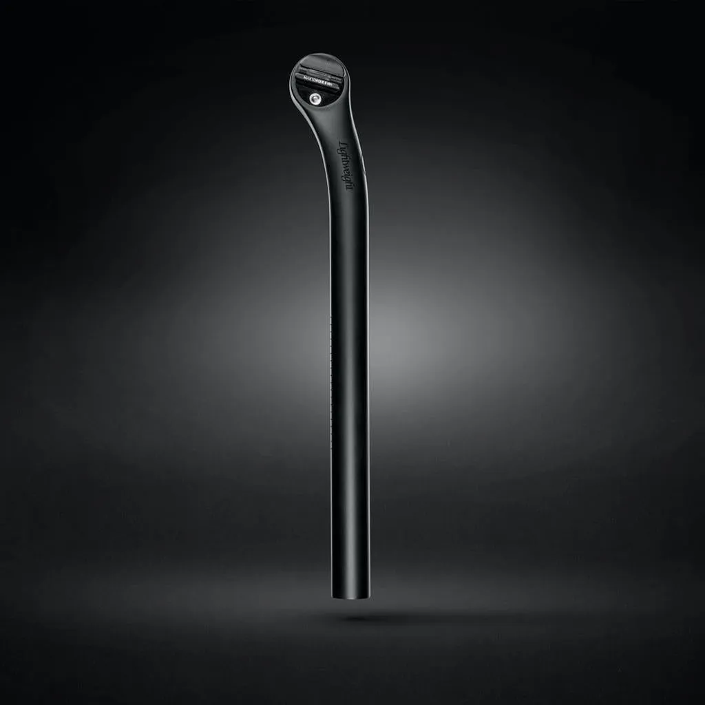 Lightweight LEISTUNGSTRÄGER Seatpost - 27.2mm
