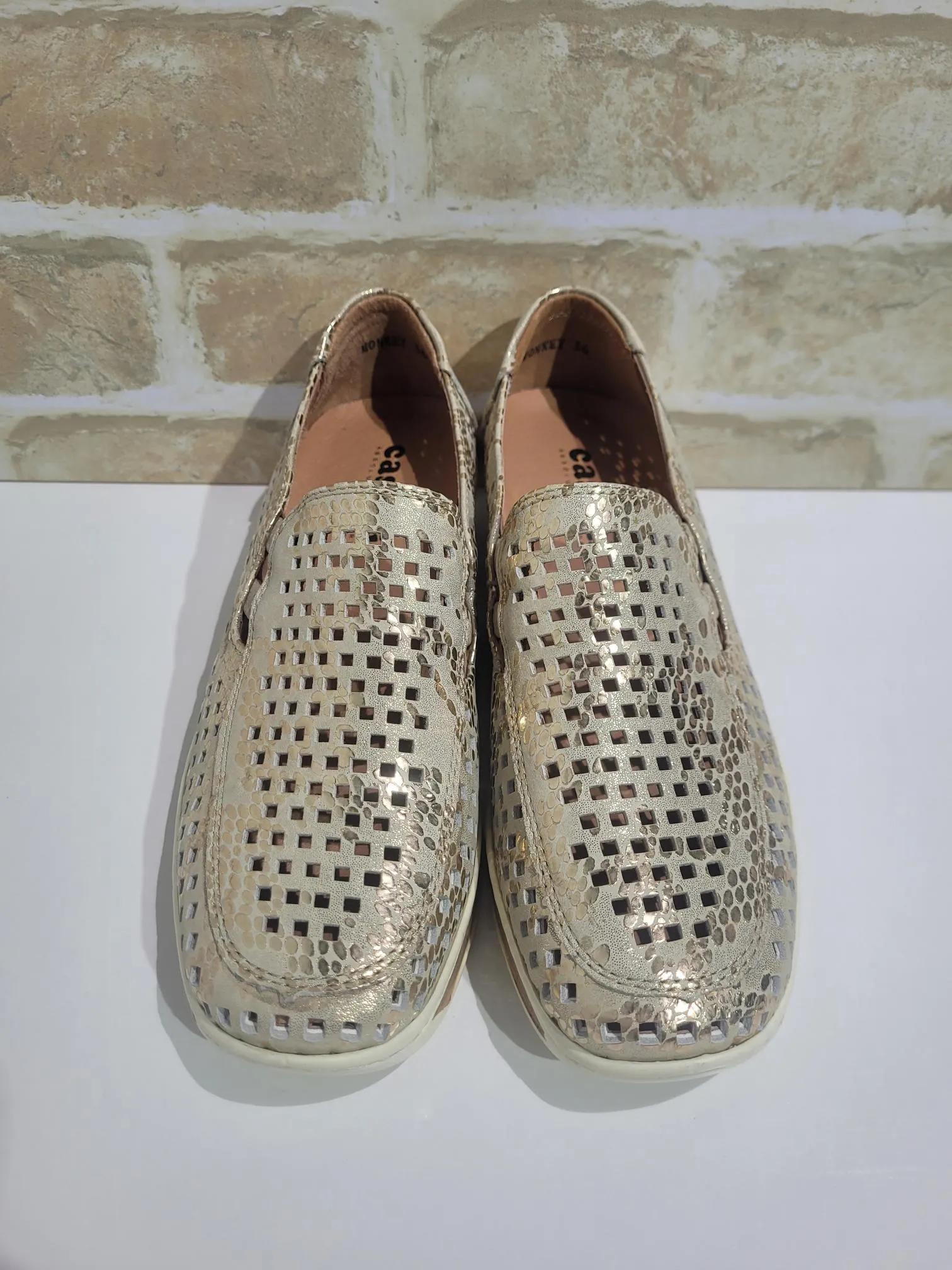 Monkey Dotty Gold by Cassini