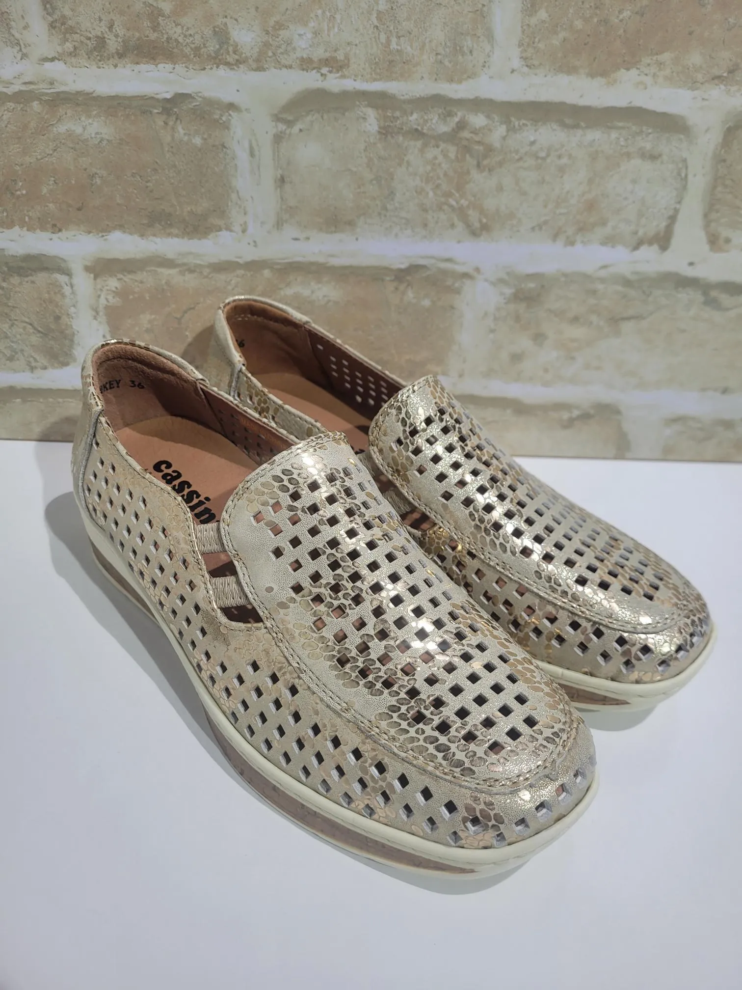 Monkey Dotty Gold by Cassini