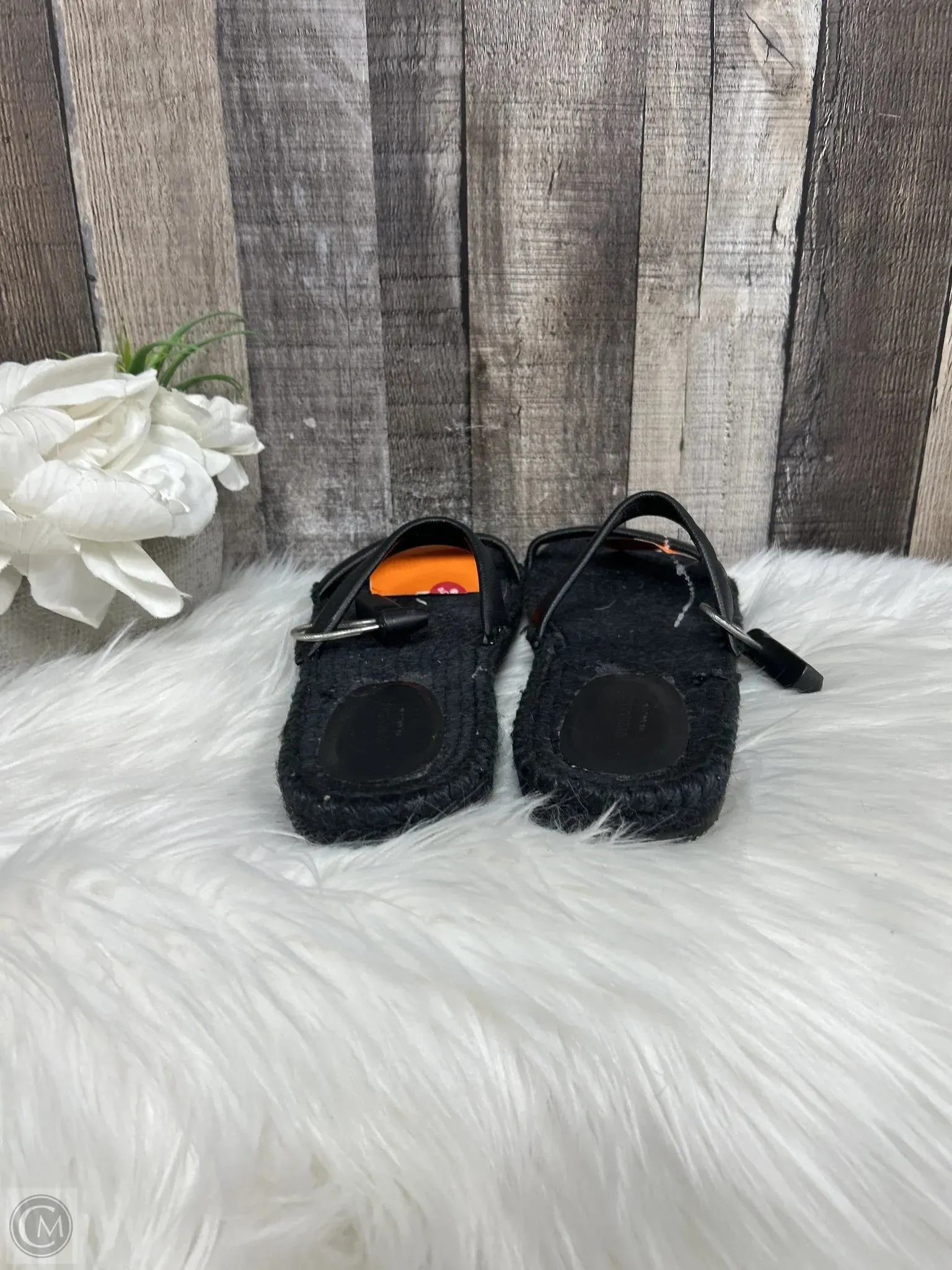 Sandals Flats By Everlane In Black, Size: 10