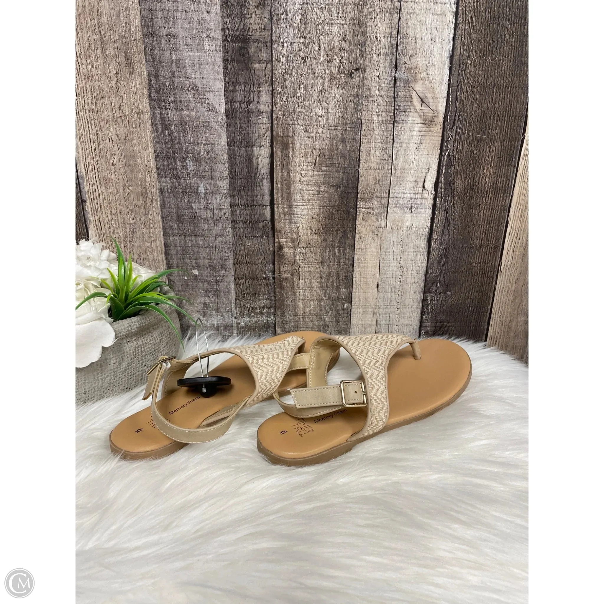 Sandals Flats By Time And Tru In Beige, Size: 6