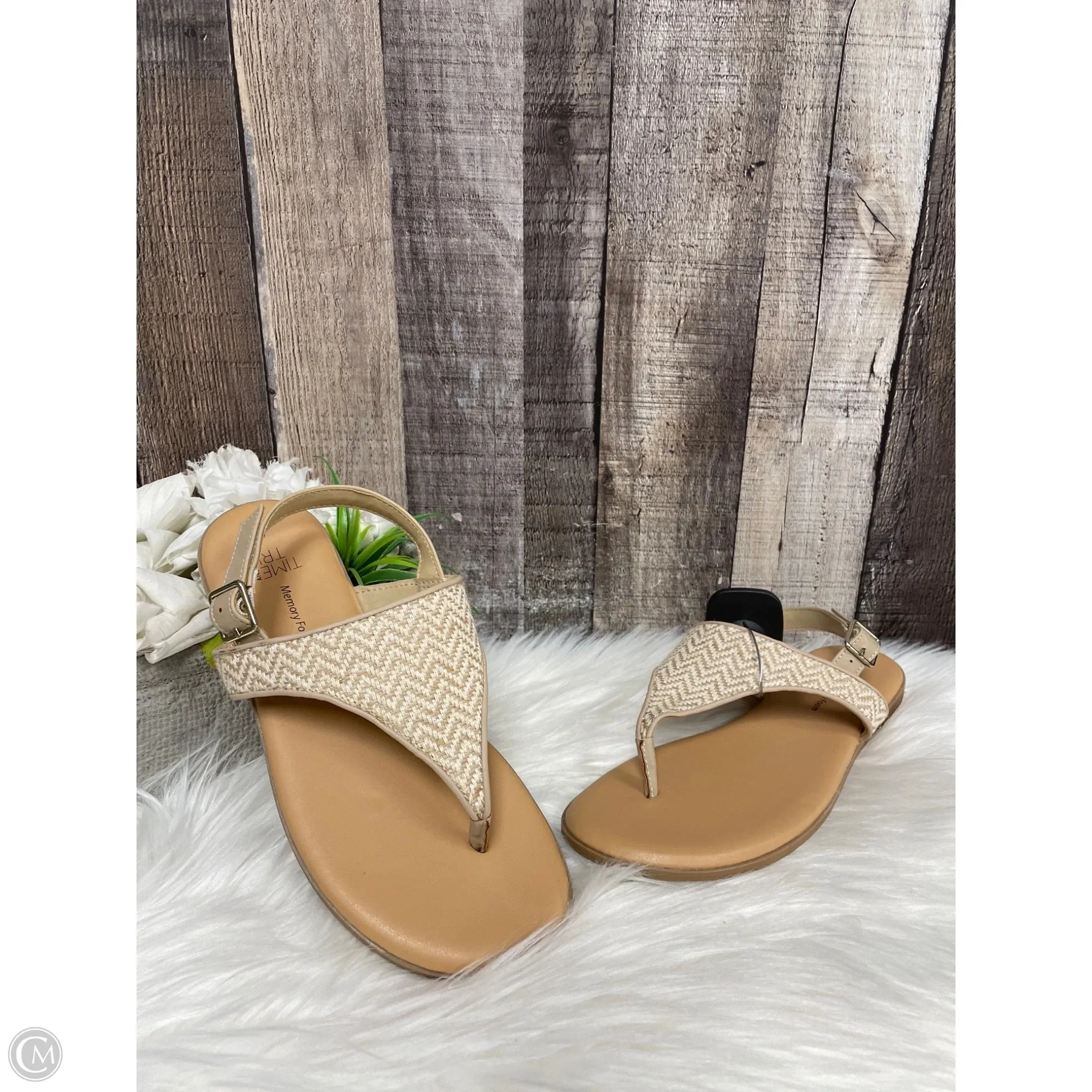 Sandals Flats By Time And Tru In Beige, Size: 6