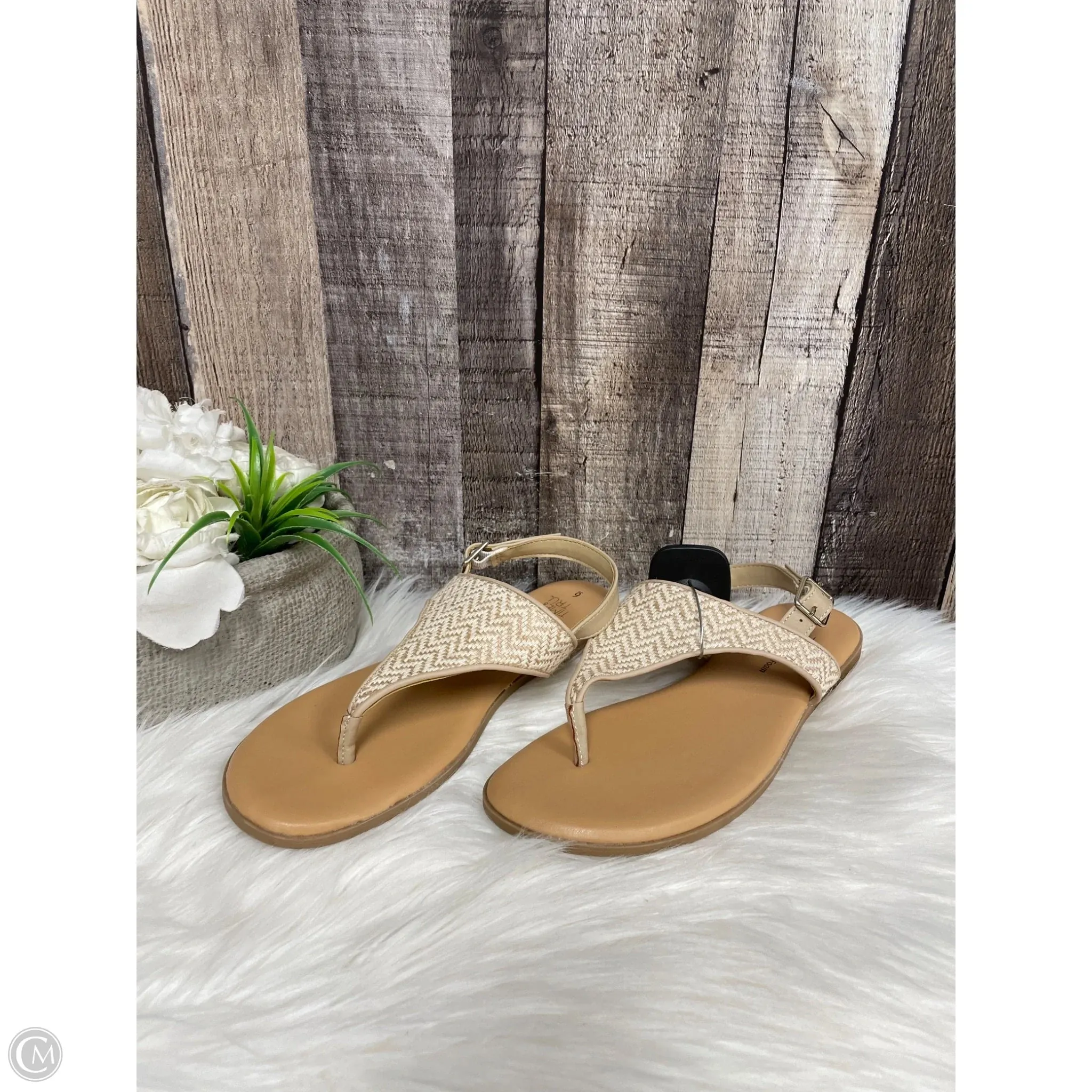 Sandals Flats By Time And Tru In Beige, Size: 6