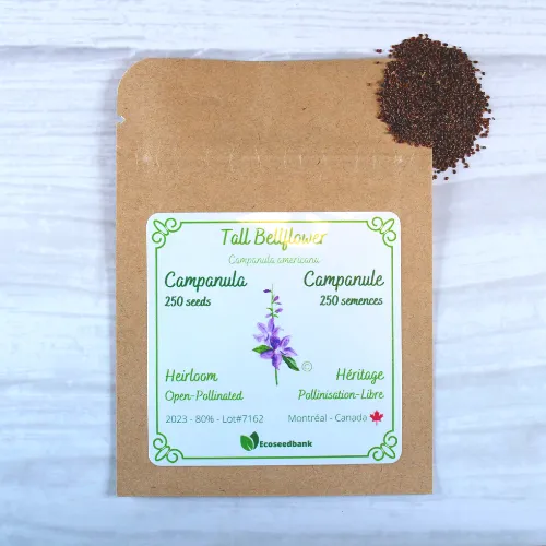 Tall Bellflower Campanula Seeds
