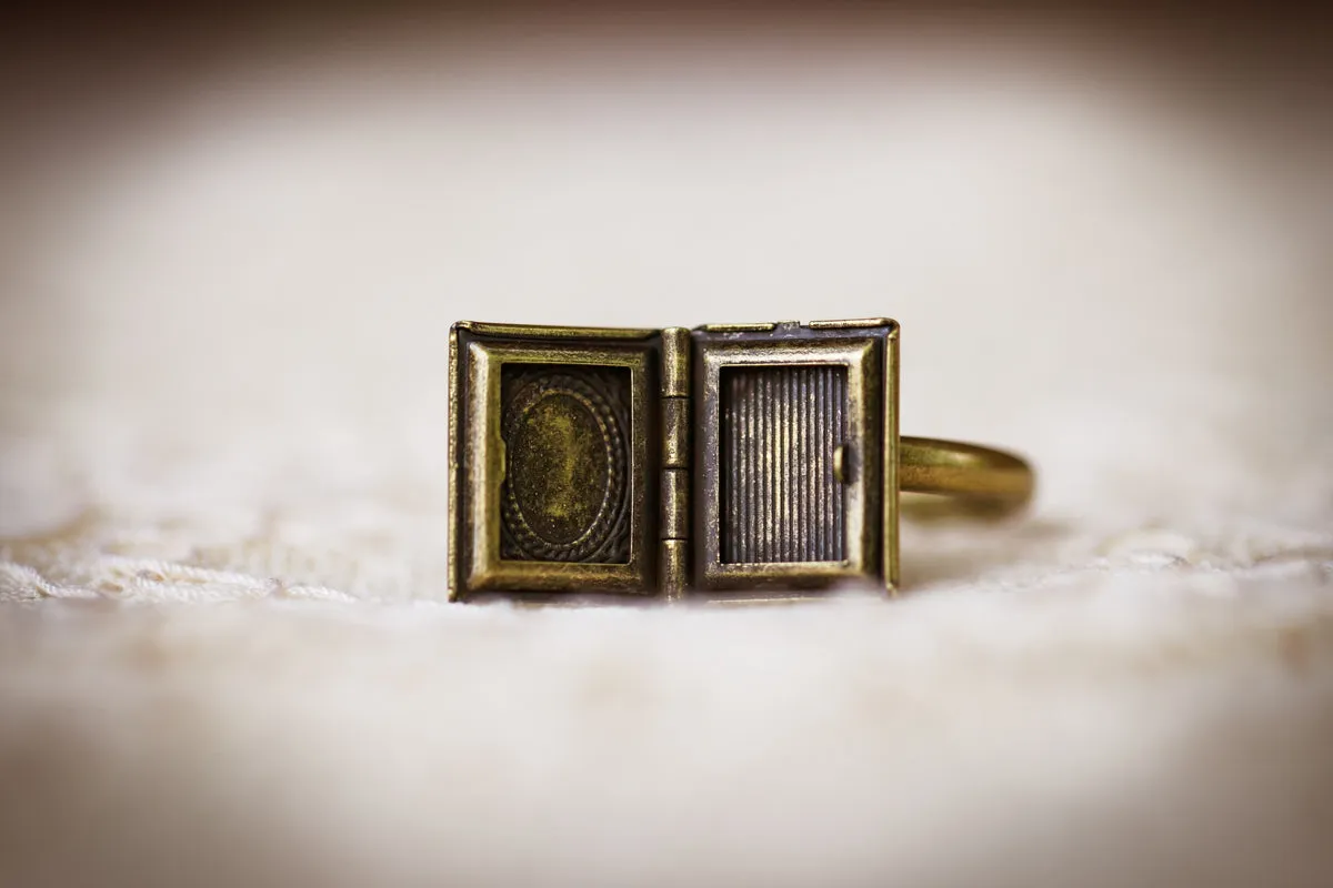 The Jane Locket Ring (Brass and Silver)