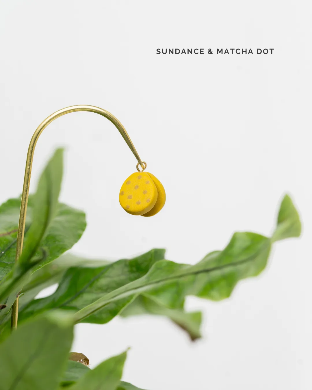 Tiny Plant Butterfly