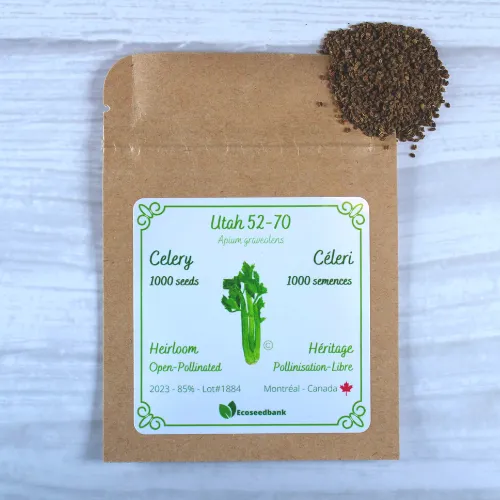 Utah 52-70 Celery Seeds