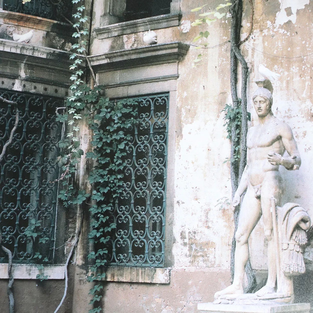 Vintage First Edition Book: The Gardens of Venice by Mary Jane Pool