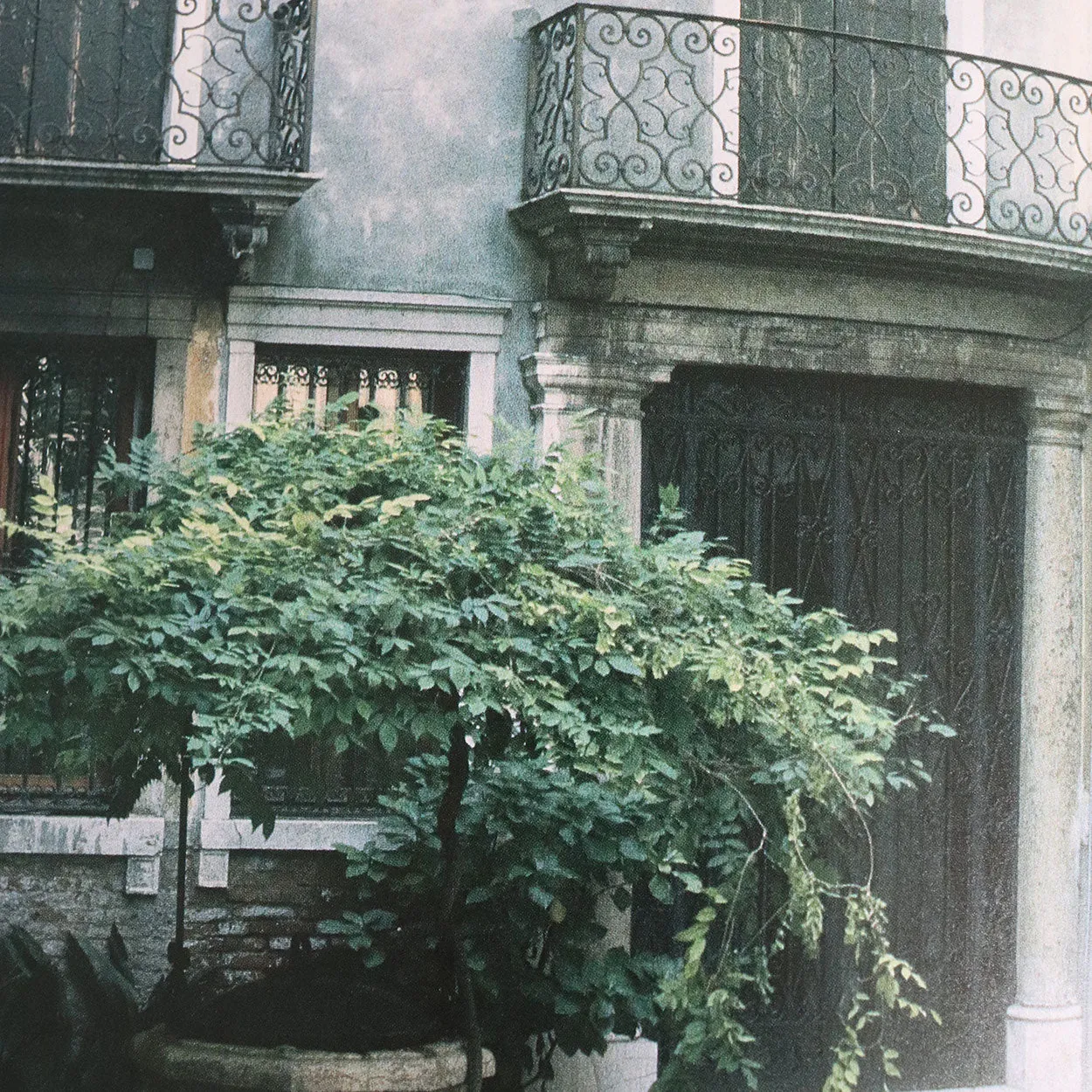 Vintage First Edition Book: The Gardens of Venice by Mary Jane Pool