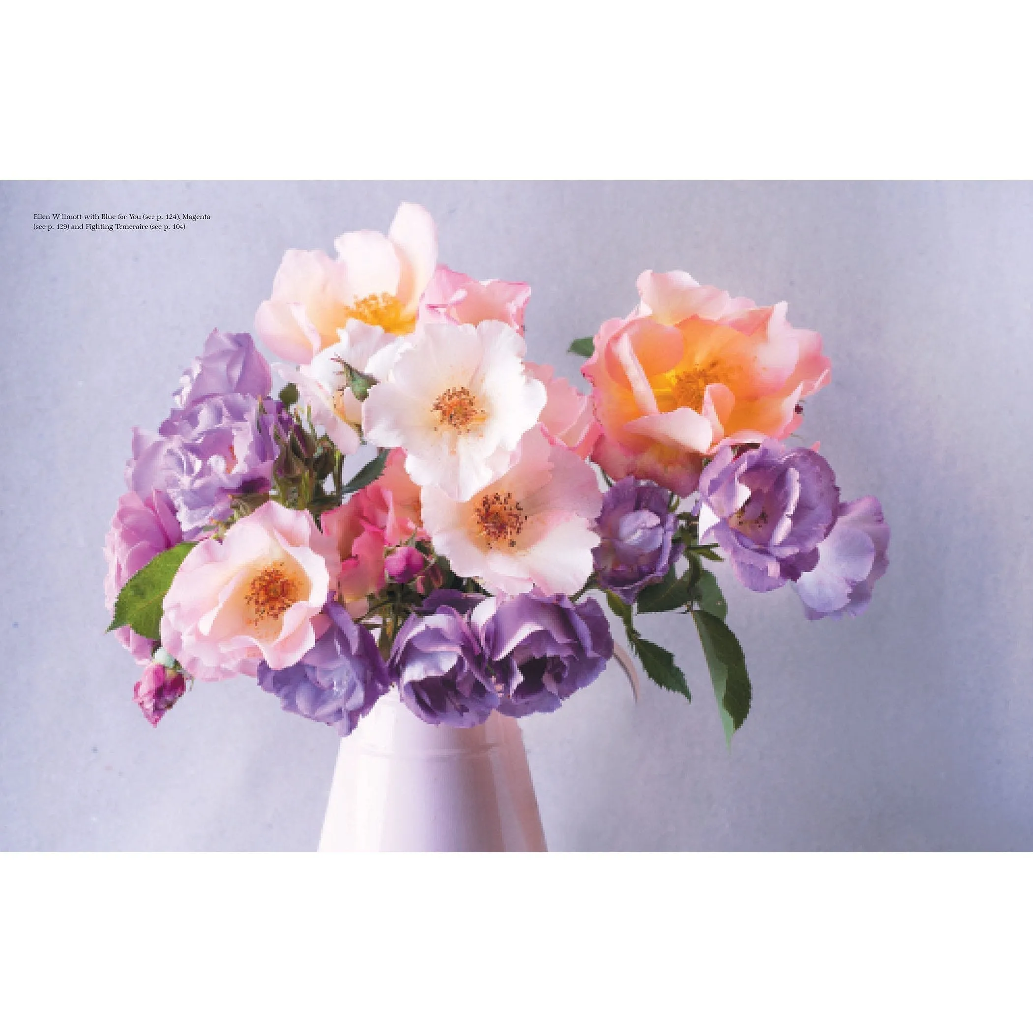 Vintage Roses: Beautiful Varieties For Home And Garden