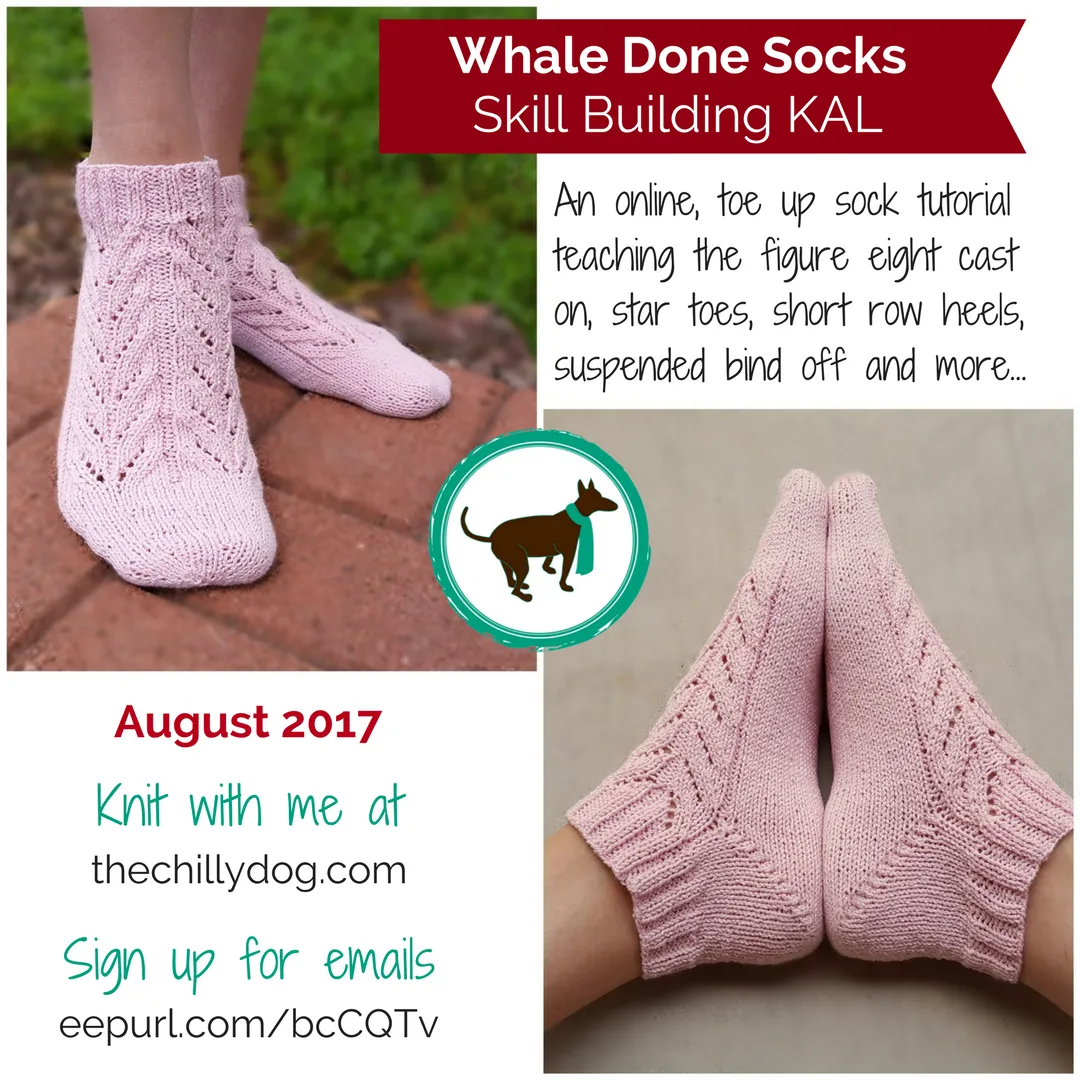 Whale Done Socks: Knitting Pattern PDF